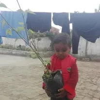 Green Seekers Activity